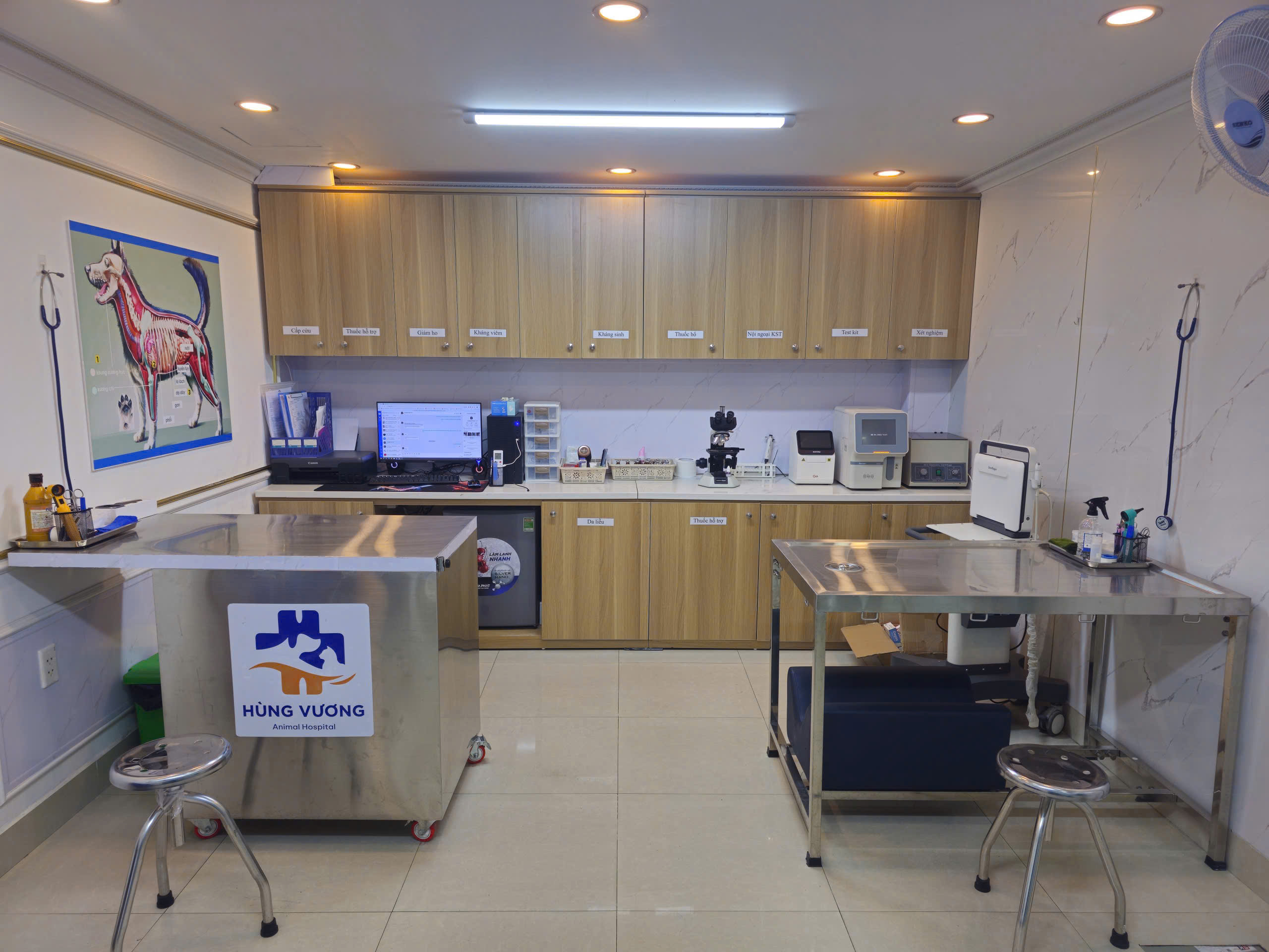 Phòng khám tại Bệnh Viện Thú Y Hùng Vương Hải Phòng
