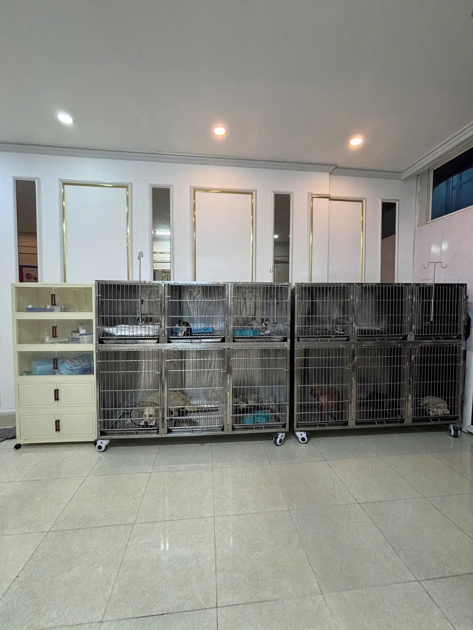 Phòng nội trú tại Bệnh Viện Thú Y Hùng Vương Hải Phòng