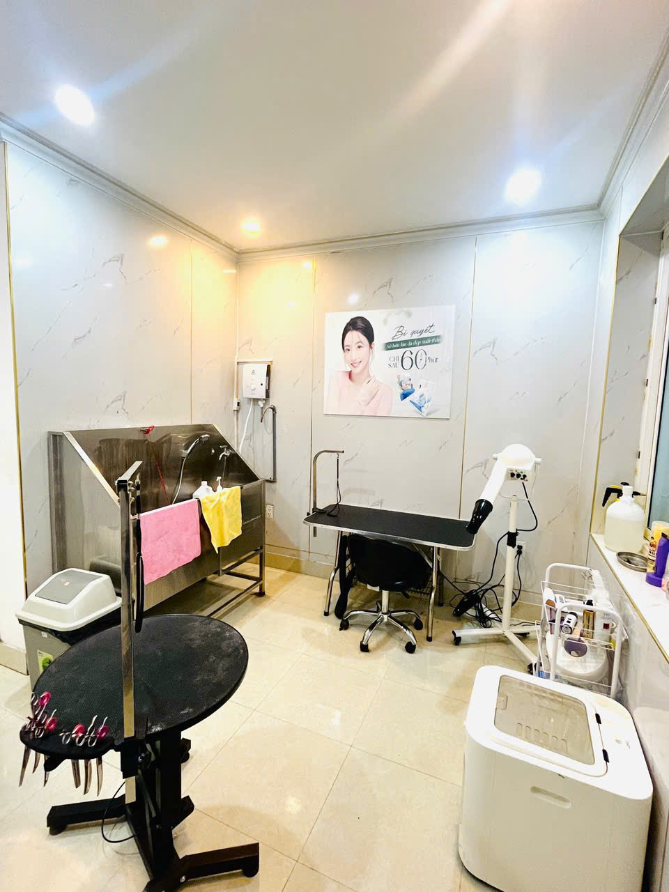 Phòng spa tại Bệnh Viện Thú Y Hùng Vương Hải Phòng